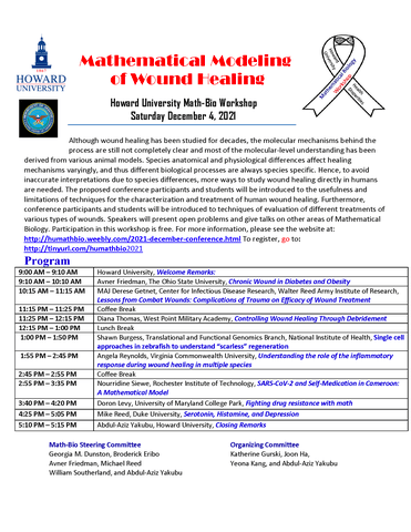 Math Bio Wound Healing Poster